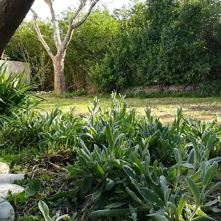 La Maison D'amatxi, A 150m De La Tatil Evi